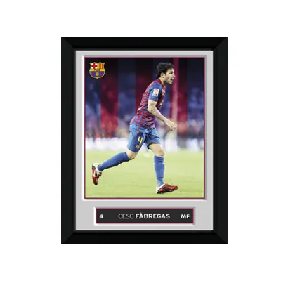 Barcelona bild Fabregas 20 x 15