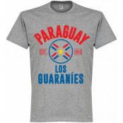 Paraguay T-shirt Established Grå M