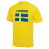 Sverige Sporttröja Flag L