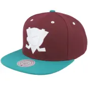 Mitchell&Ness - NHL Lila snapback Keps - Anaheim Ducks Evergreen Crispy White Vintage Purple/Teal Snapback @ Hatstore