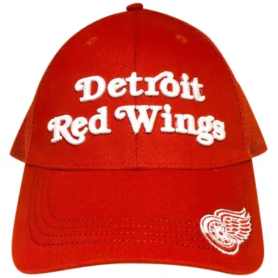 Detroit Red Wings Snap 17