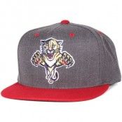 Mitchell & Ness - Florida Panthers Charcoal Dune 2 Tone Snapback