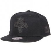 Mitchell & Ness - Florida Panthers Flex Snapback