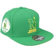 Mitchell&Ness - NHL Grön fitted Keps - Minnesota North Stars Vintage Green Fitted @ Hatstore
