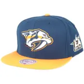 Mitchell&Ness - NHL Blå snapback Keps - Nashville Predators NHL 2017 ASG 2T Snapback @ Hatstore
