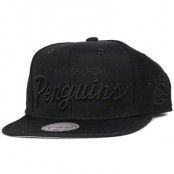 Michell & Ness - Pittsburgh Penguins Ancestral Snapback