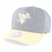 Mitchell&Ness - NHL Grå adjustable Keps - Pittsburgh Penguins Link Flex 110 Grey/Beige Adjustable @ Hatstore