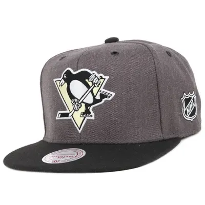 Mitchell&Ness - NHL Grå snapback Keps - Pittsburgh Penguins G3 Logo Snapback @ Hatstore