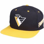 Twins Enterprise - NHL Vit snapback Keps - Pittsburgh Penguins Logo Two Tone NHL Vintage White/Black Snapback @ Hatstore