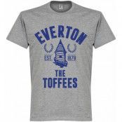 Everton T-shirt Established Grå M