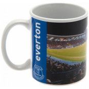 Everton Mugg Stadium