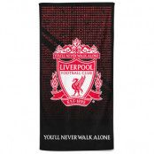 Liverpool Badlakan Mesh Crest