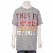 Liverpool T-shirt Moores barn grå 11-12 år