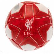 Liverpool FC Fotboll Mini Mjuk