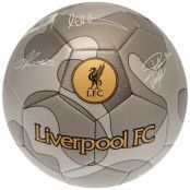 Liverpool Fotboll Camo Signature
