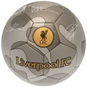 Liverpool Fotboll Camo Signature
