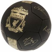 Liverpool Fotboll Signature Gold