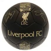Liverpool Fotboll Signature Gold