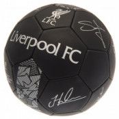 Liverpool Fotboll Signature PH