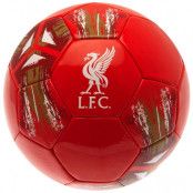 Liverpool Fotboll SP