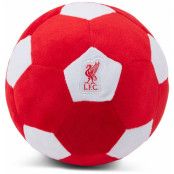 Liverpool Goseboll