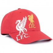 Liverpool Keps Dual Liverbird