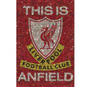Liverpool Affisch Mosaic 39