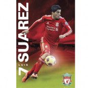 Liverpool affisch Suarez 49