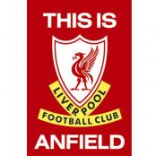 Liverpool affisch TIA 44