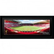 Liverpool Bild Anfield 76 x 30 Liverbird