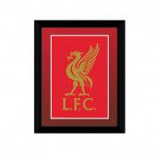 Liverpool Bild Crest 20 x 15