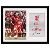 Liverpool Bild Firmino 40 x 30