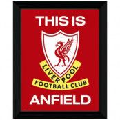 Liverpool Bild med Ram TIA 16 x 12