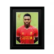 Liverpool Bild Sturridge 20 x 15