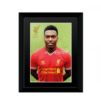Liverpool Bild Sturridge 20 x 15