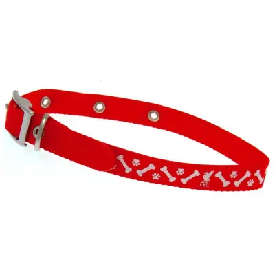 Liverpool Hundhalsband Large