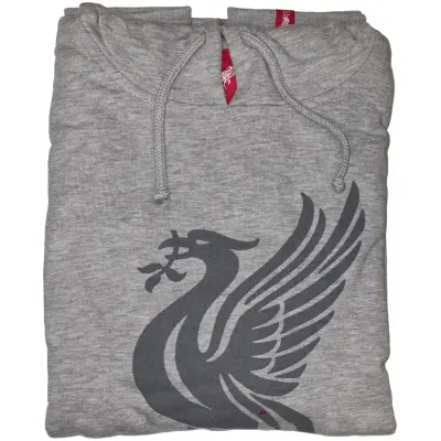 Liverpool Huvtröja Grå Dam 16 / XL