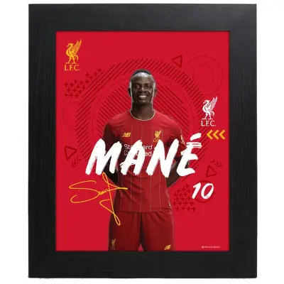 Liverpool Inramat Porträtt Mane