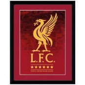 Liverpool Poster med Ram Crest & Stars