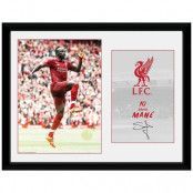 Liverpool Poster med Ram Mane