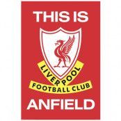 Liverpool Poster TIA 29