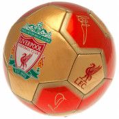 Liverpool Trickboll Gold