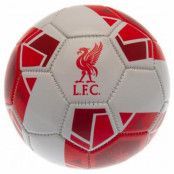 Liverpool Trickboll RW