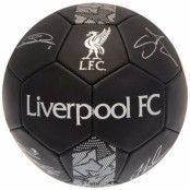 Liverpool Trickboll Signature PH