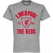 Liverpool Establishe T-shirt Liverpool Established Grå L