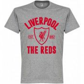 Liverpool Establishe T-shirt Liverpool Established Grå S
