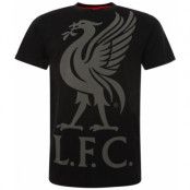 Liverpool Liverbird T-Shirt Herr Black XXXL XXX-Large