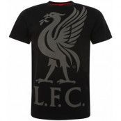 Liverpool T-shirt LB Black L