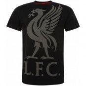 Liverpool T-shirt LB Black XS