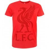 Liverpool T-shirt Liverbird Röd XL